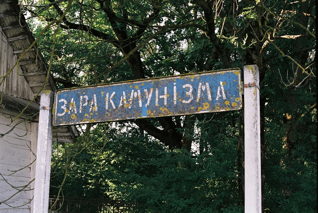 a blue and white street sign sitting next to a tree