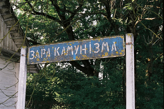a blue and white street sign sitting next to a tree